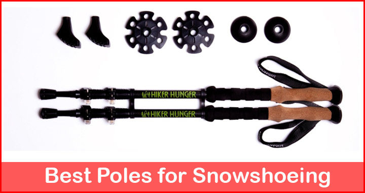 best snowshoe poles