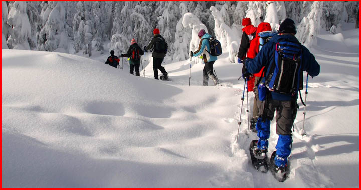 how much snow do you need to snowshoe