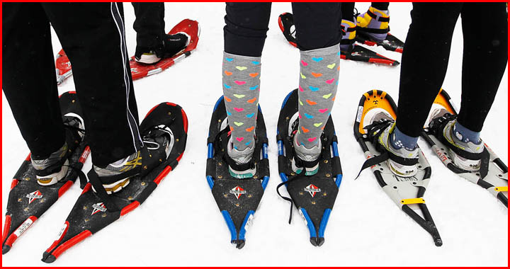 types of snowshoes