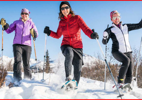 snowshoeing guide for beginners