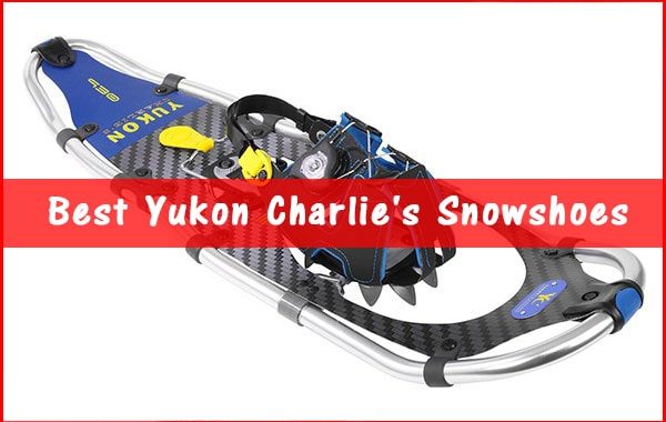 best yukon charlie's snowshoes